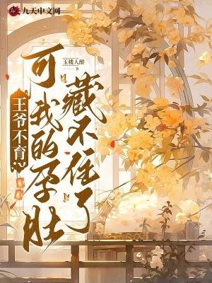 王爷不好了王妃不见了